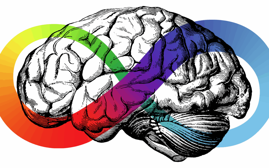 Understanding Neurodivergence and Neurodiversity