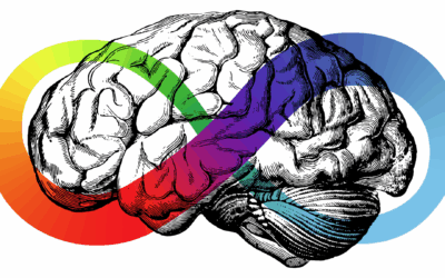 Understanding Neurodivergence and Neurodiversity